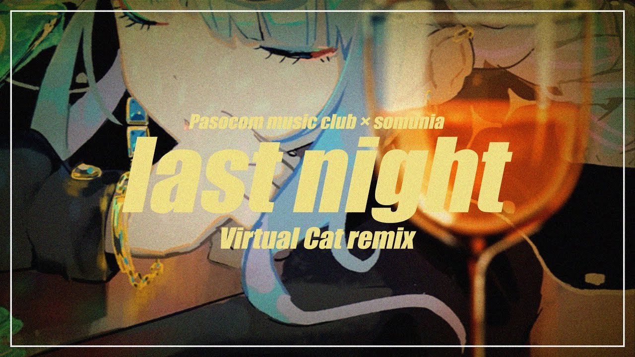last night (virtual cat remix) - somunia【MV】
